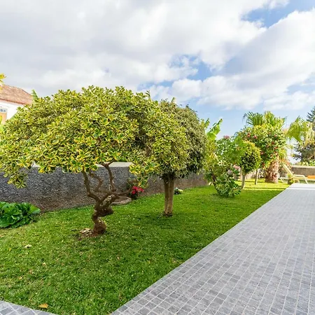 Casa Ventura Villa Arco da Calheta  Exterior photo