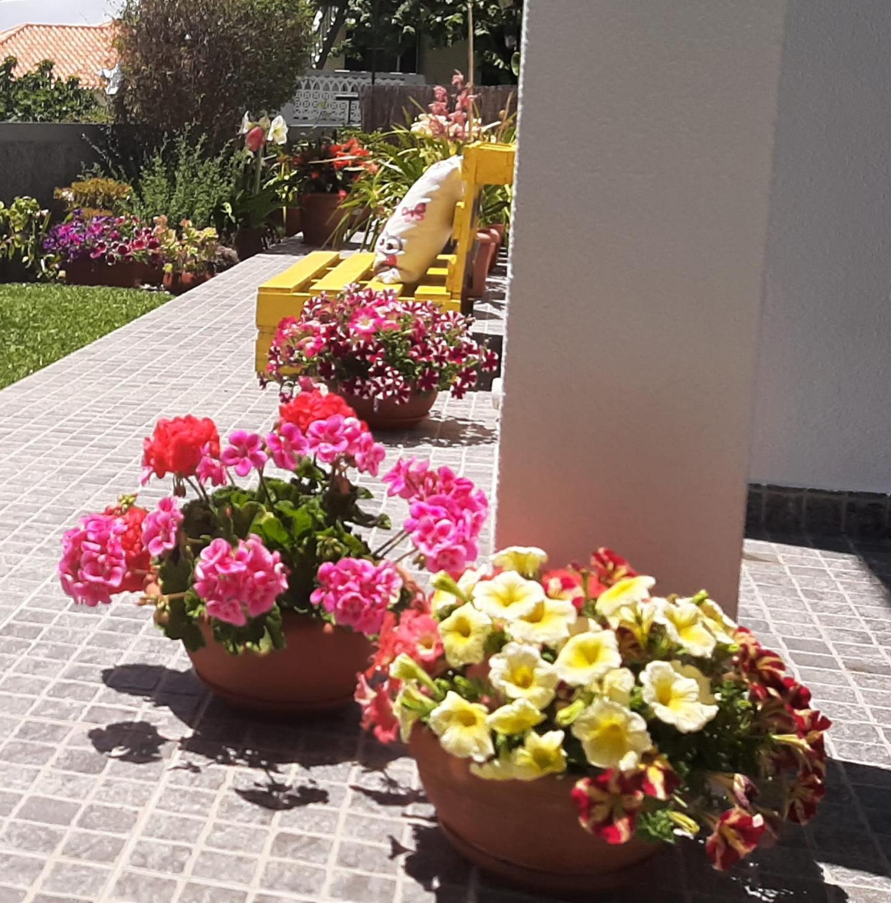Casa Ventura Ferienhaus Arco da Calheta (Madeira)